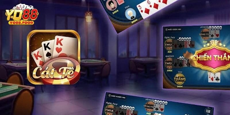 Bật mí các mẹo cược catte Yo88