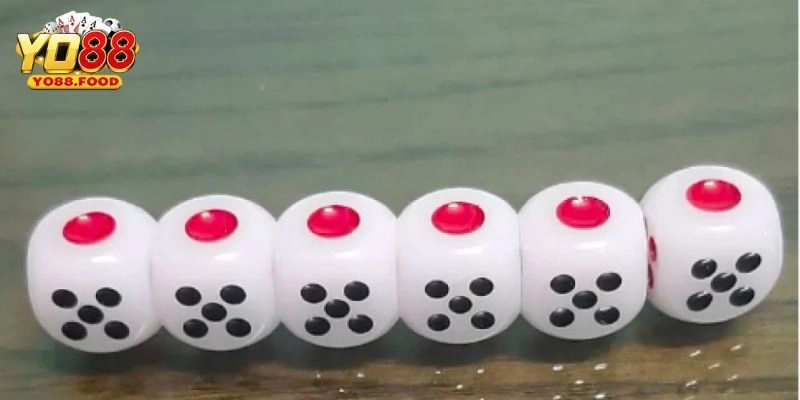 Chỉ Ra Các Lưu Ý Khi Chơi Xí Ngầu Tại Yo88 Cho Người Mới